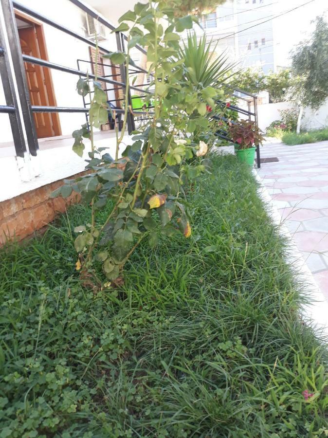 Guesthouse Sueda Ksamil Buitenkant foto